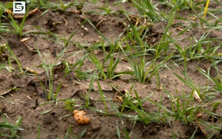 DSTV: bizakodnak a mezőgazdászok