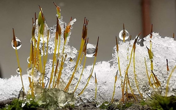 Derült, napos és fagyos napok várnak ránk