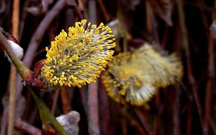 Még nem robban be, csak motoszkál a tavasz