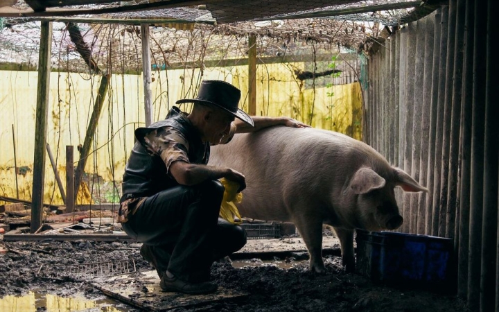 Szabad Szemmel: "Ezt levezekelni nem lehet" a Szertelen Házban