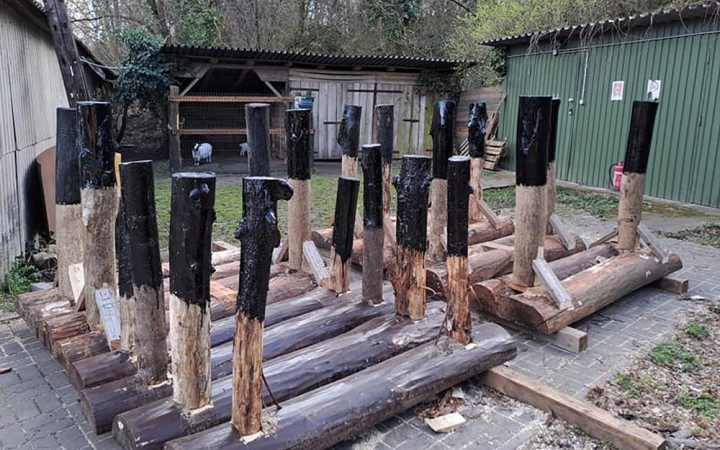 Újjászületik a város kellős közepén lévő zöld ékszerdoboz, az arborétum