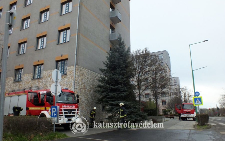 Kollégiumi gyakorlaton a lánglovagok