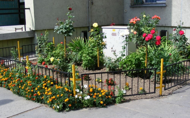 Ismét lehet nevezni a virágosítási versenyre