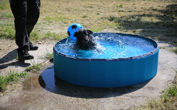 Célba ért a jótékony akció