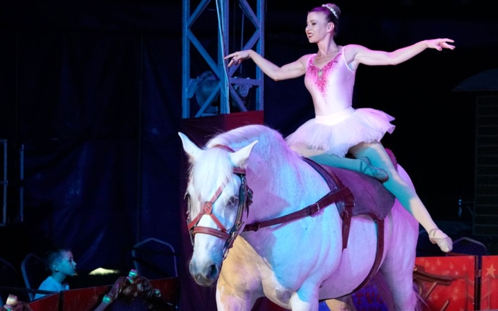 Világszám! Dunaújvárosba érkezik a Donnert Családi Cirkusz!