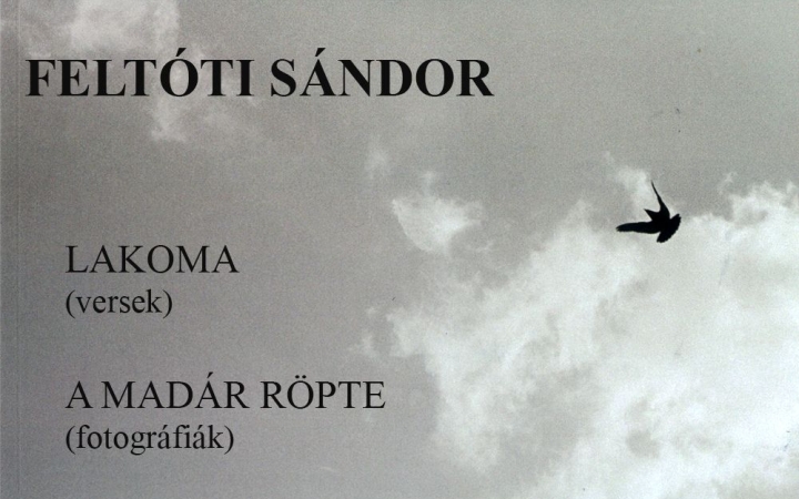 ICA-D: versek és képek – Feltóti Sándortól
