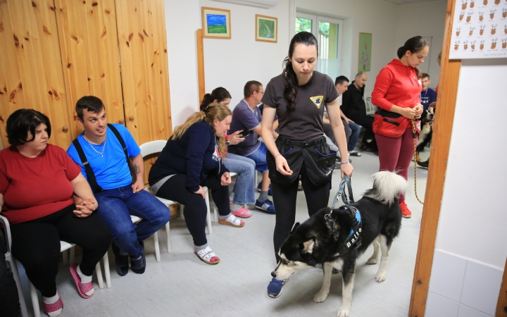 DSTV: akcióban az önkéntesek a Jószolgálati Otthonban (galériával)