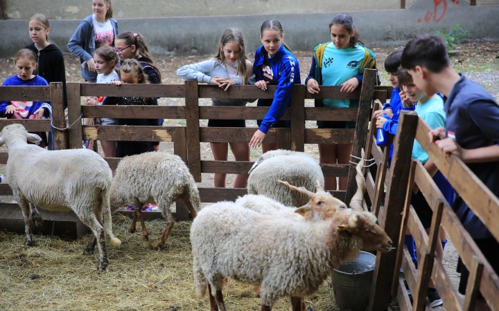 Kicsik és nagyok barátkozhattak a természettel (galériával)