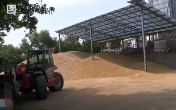 DSTV: az aratás ideje