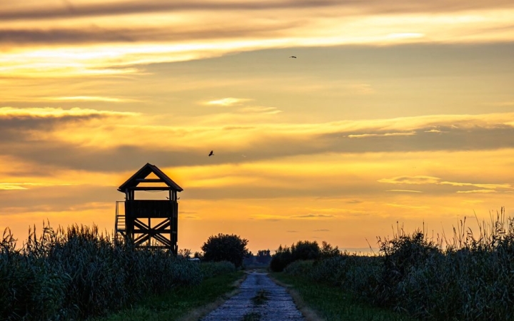 Szél, eső, kánikula – minden várható, a hét végén sok csapadék is lehet