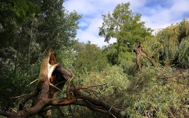 Komoly kánikula várható, egy-egy hűsítő zivatarral