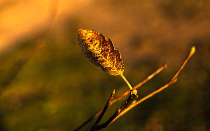 A hőség napjai után durva lehűlés várható