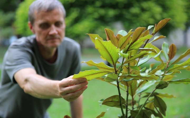 Gyuri, a Liget köz jeles gerillakertésze