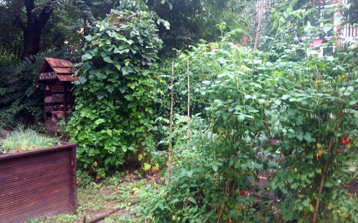 A zöld értékekért is küzd a Móricz iskola