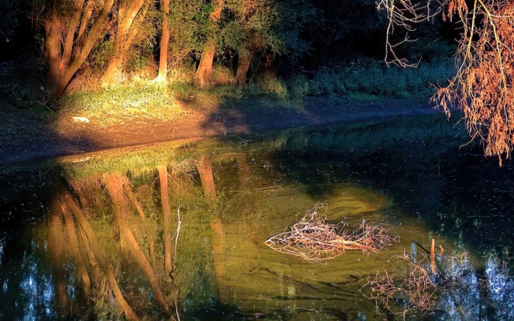 Visszaköszön a nyár, méghozzá jó hangosan