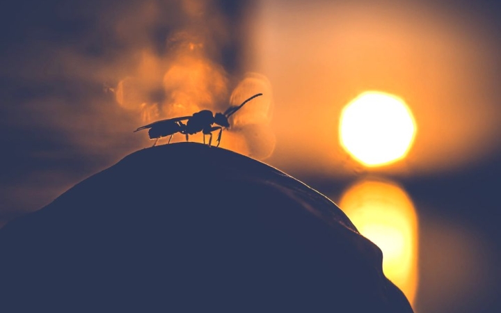 Hihetetlen, de igaz: a hét végéig kitart a nyár