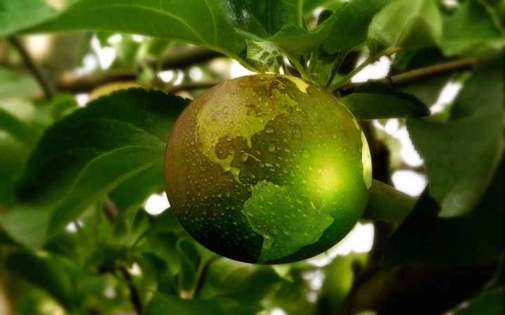 Középpontban az energia a mobilitás hetén