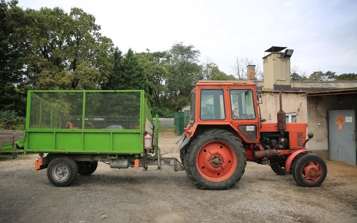 Ezer színben pompáznak a falevelek, és lassan lehullanak