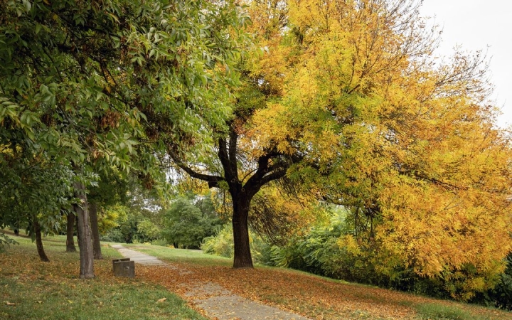 Napos nyitány, esős vég, ez már igazi ősz