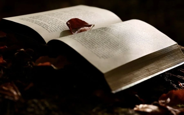 Több program kínálkozik a könyvtárban az őszi szünet idején