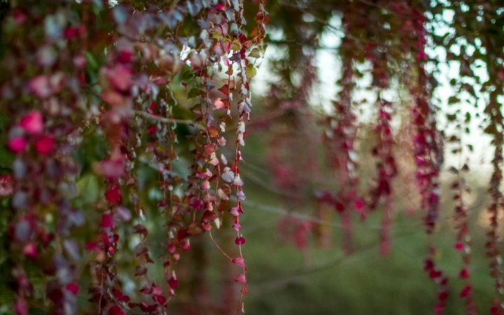 Változékony, napos nyitány, a hét végén komoly csapadékzóna jöhet