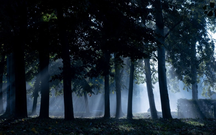 Esős és szeles, de viszonylag enyhe héttel számolhatunk
