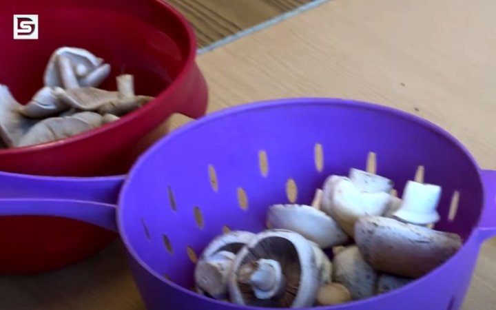 DSTV: új helyen, de üzemel a gombavizsgálat