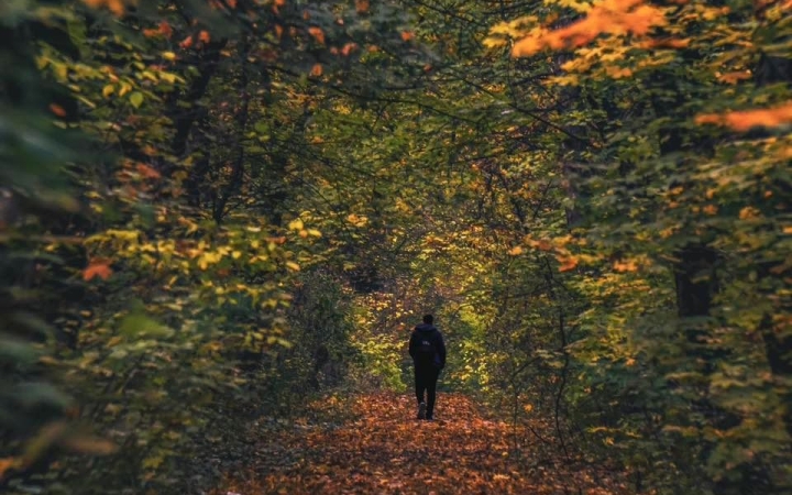Komoly lehűlés jön, fagyos hajnalokra készülhetünk 