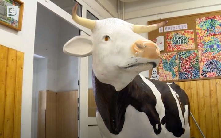 DSTV: élet, erő, egészség a Vasváriban