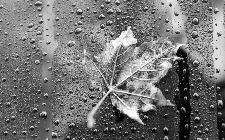 Jól nézzük meg a Napot, most majd egy ideig nem látjuk