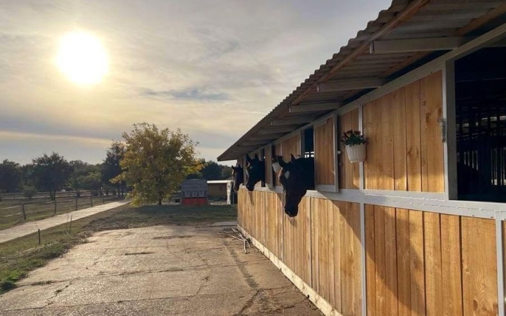 Lovas foglalkozás ajándékba – jótékony céllal