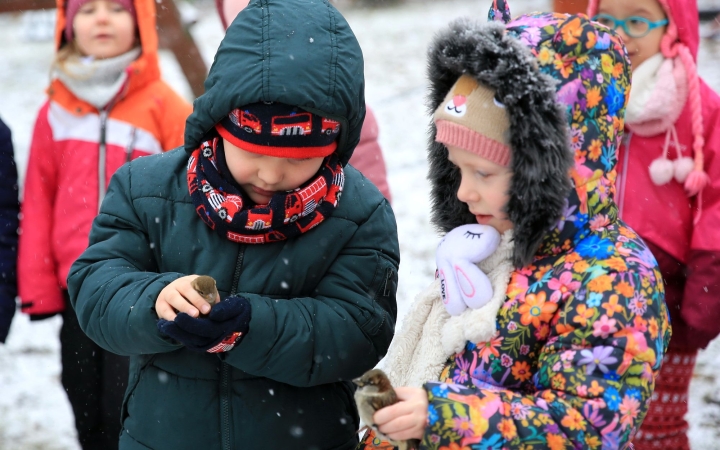 Madarat tolláról, gyereket gyűrűjéről (galériával)