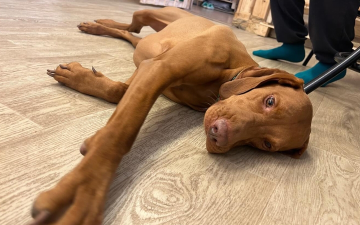 Legyen mindenkiből "Okos Gazdi"!