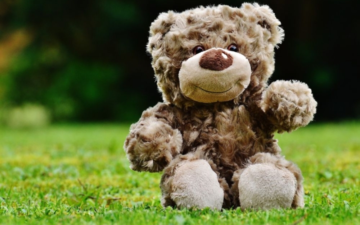 Friss: elmarad a Mackó délután a gyermekkönyvtárban