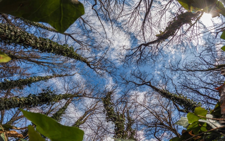 Durván tavaszias idővel búcsúzik a tél