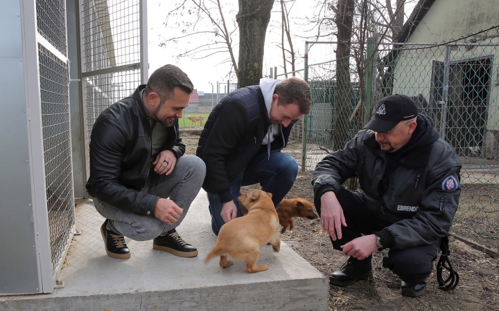 Szembetűnő, pozitív változások sora tapasztalható az ebrendészeti telepen