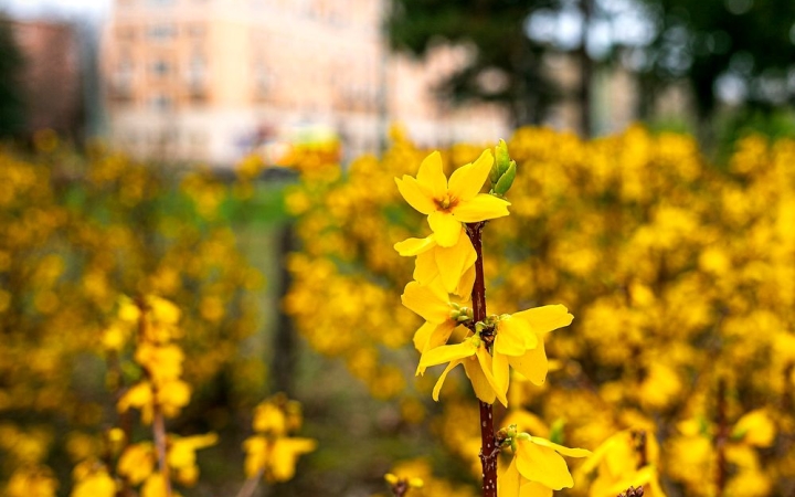 Március idusán kitör a napos tavasz!