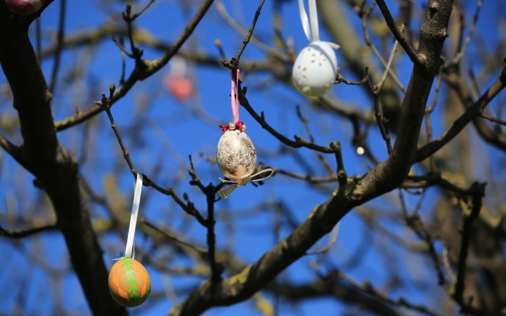 Tojásfát állítottak a Kertvárosban (galériával)