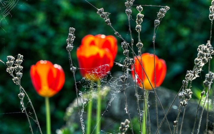 Kitart a nyár szerdáig, aztán itt a tavasz!