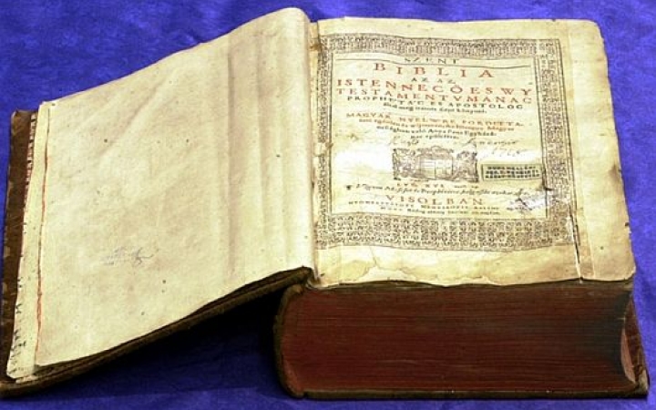 520 nap után született…