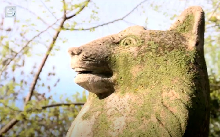 DSTV: az Öntelt mackó története