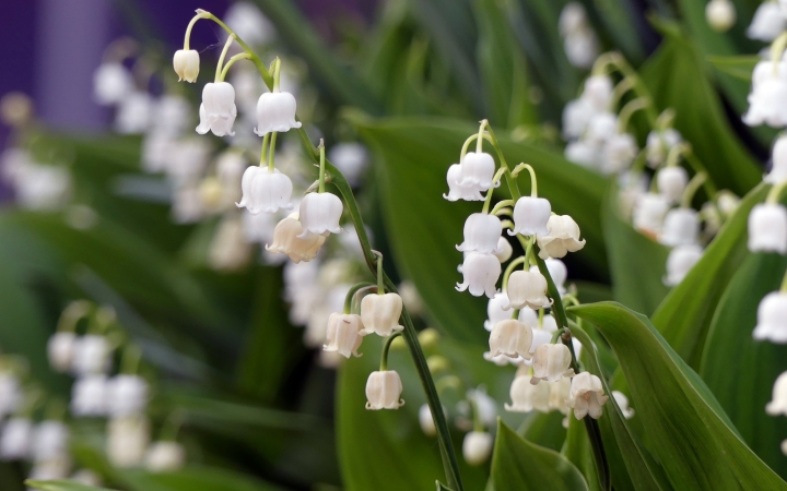 Most TÉNYLEG bezuhan a hőmérséklet – a nyár után kora tavasz várható