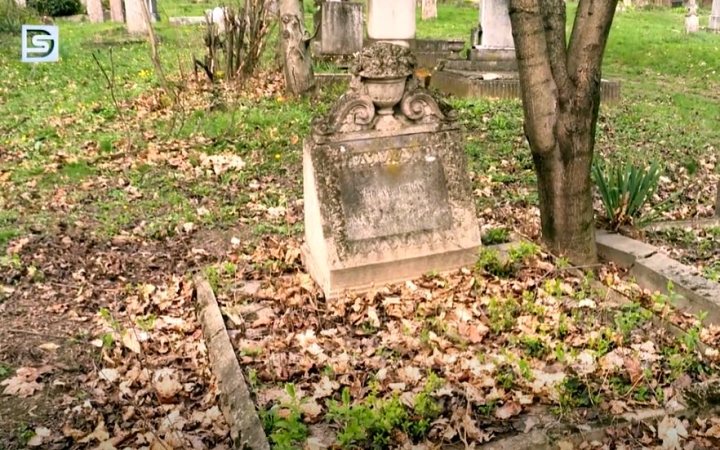 DSTV: Pentelei Molnár János nyomában