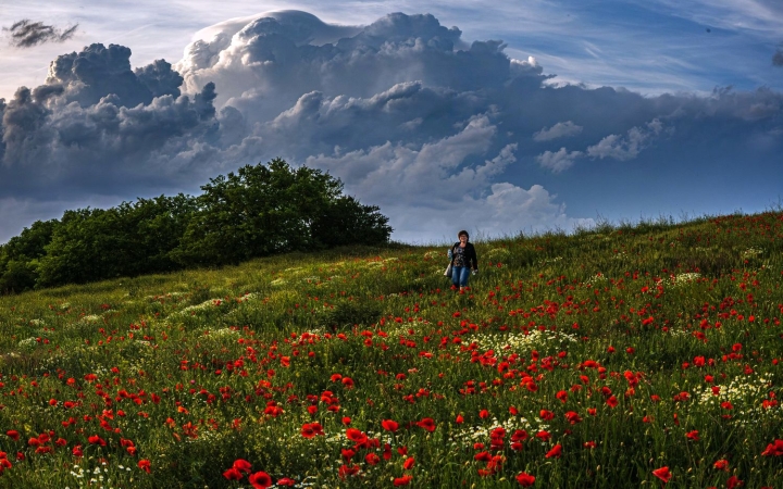 Gomolyos napok – nyárias meleggel, de sok csapadékkal