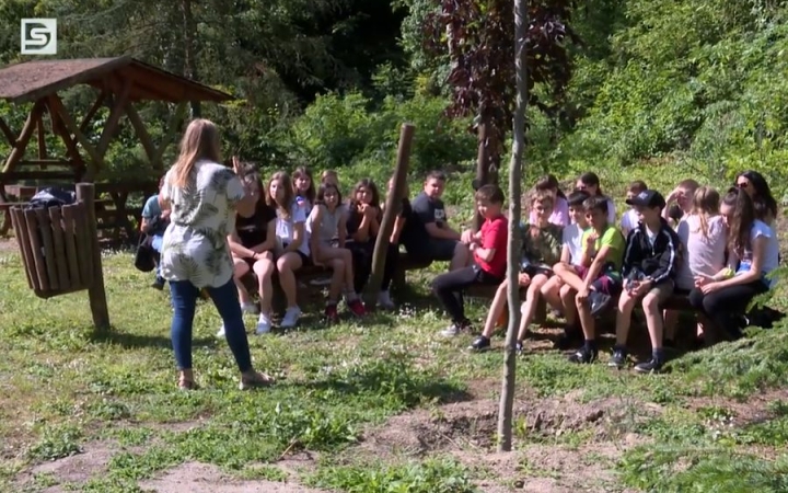 DSTV: közel a természethez