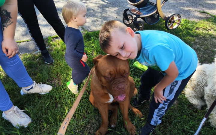 Duna Dog 10, Duna Dog Alapítvány 5 – családi fesztivállal ünnepelnek