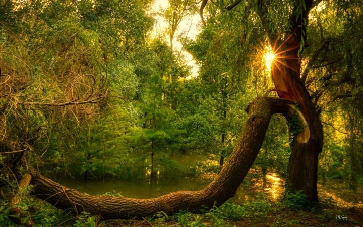 Befut az idei nyár első hőhulláma – és rögtön durva lesz!