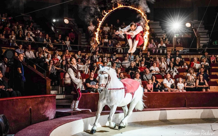 Idén is visszatér Dunaújvárosba a Donnert Nagycirkusz