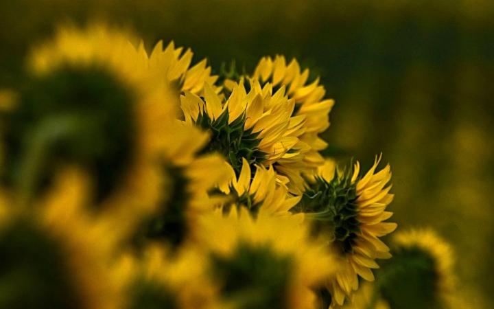 Hőség és égiháborúk – egész héten