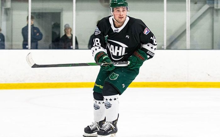 Amerikai csatárt igazolt a DAB